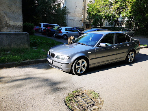 BMW style 137 wheel