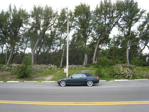 BMW style 198 wheel