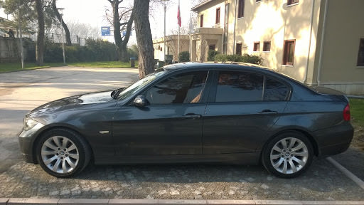 BMW style 244 wheel